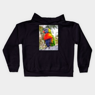 Rainbow Lorikeet Kids Hoodie